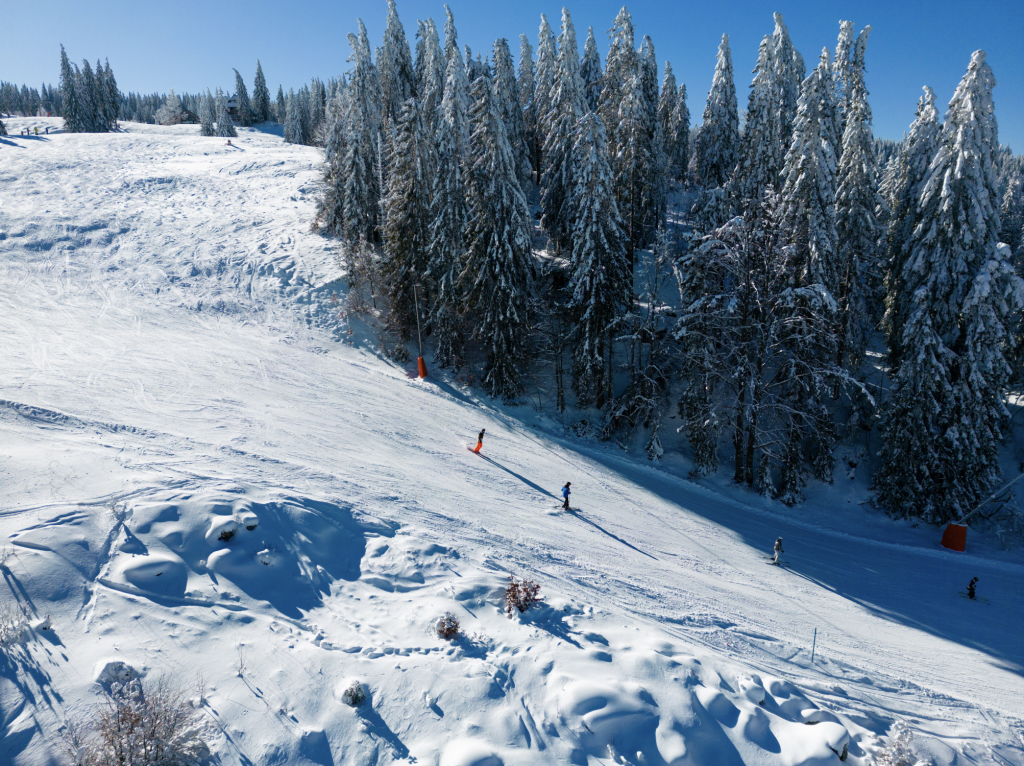 Eine schneebedeckte Skipiste im Hintergrund ein Tannenwald und auf der Skipiste fahren zwei Menschen Ski